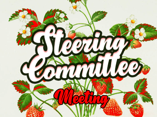 Steering Committee Meeting